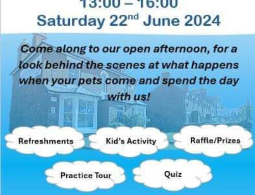 Copthorne Vets Open Day Saturday 22nd June – Save the Date!