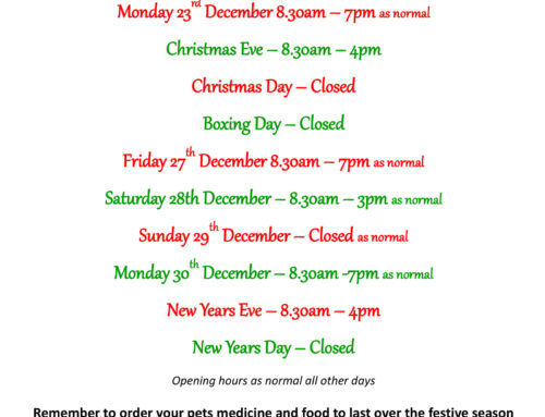 Christmas Opening Hours