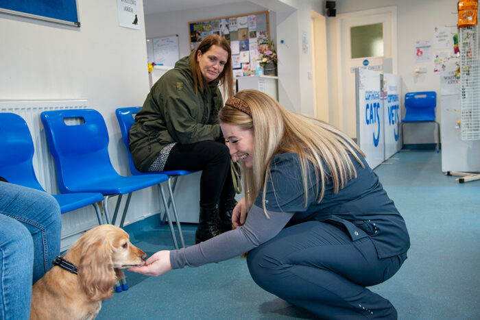 Confidence Clinics to Support our Patients