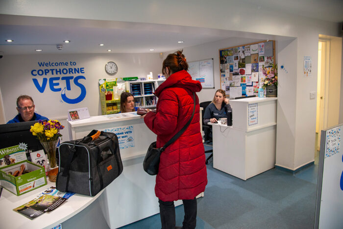 Improved benefits for Pet Health Care Plan members