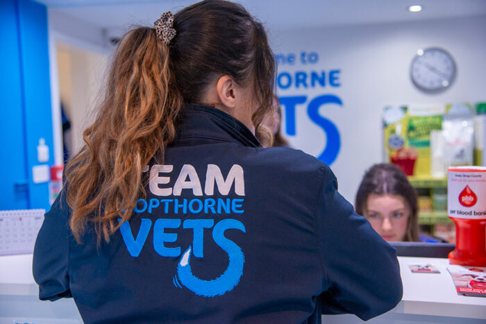 Your reviews mean such a lot to our team – Thank You!