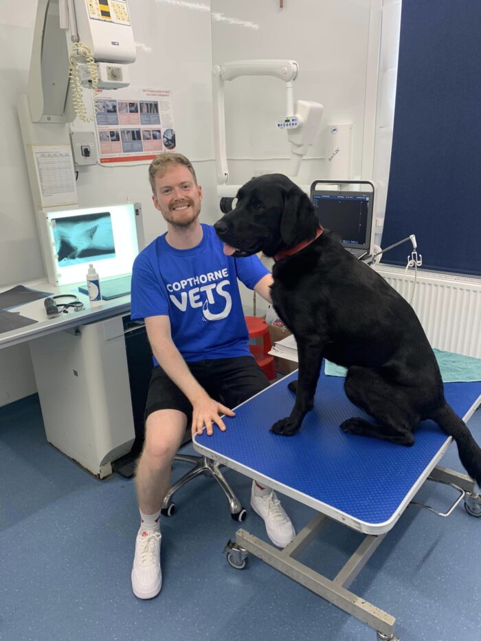 Fun Day Saturday 21st June