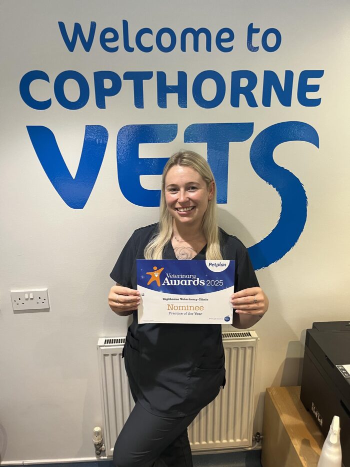 Another Nomination for the Pet Plan Veterinary Awards!