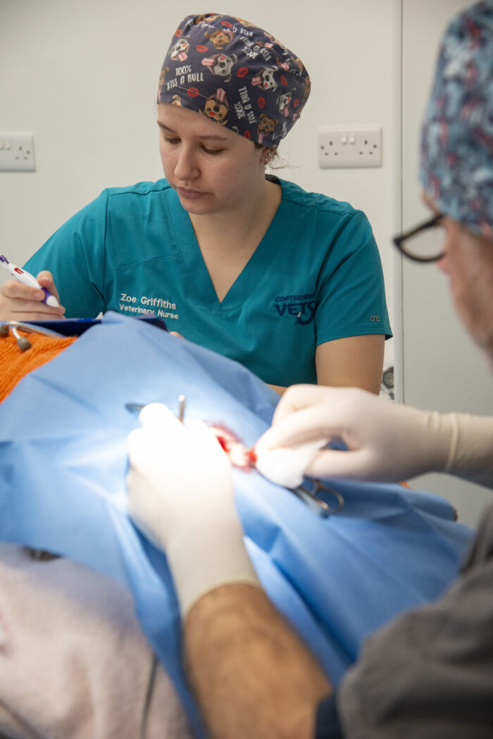 Huge Congratulations Zoe!