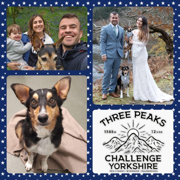 Raising Money for Pet Blood Bank